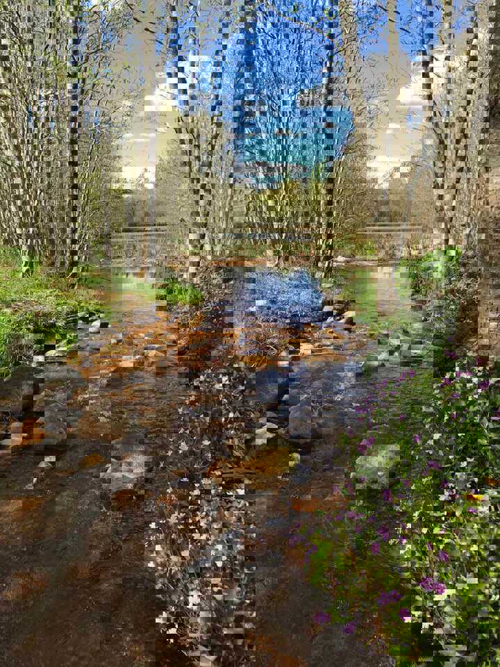 Naturen ved Bording Å og Okkersø Skov