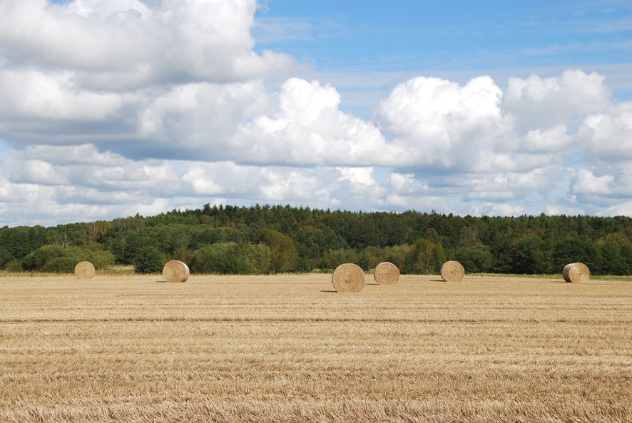 Lille mark med halmballer på