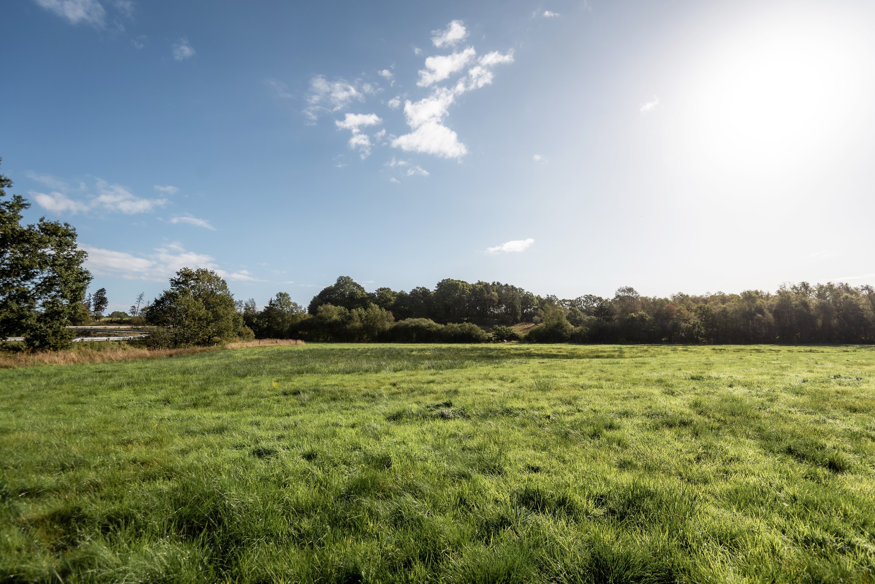 grundsalg_standardbillede