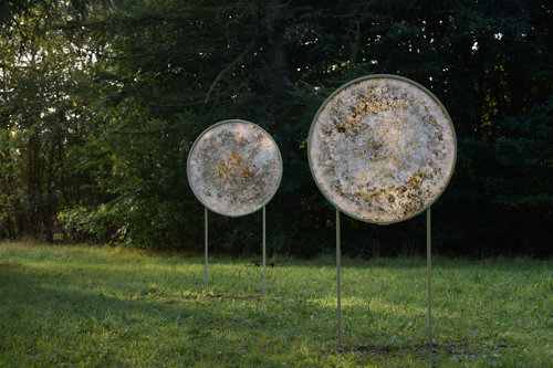 Microbial Dwellings - et midlertidigt værk på Harrild Hede af Rhoda Ting & Mikkel Bojesen