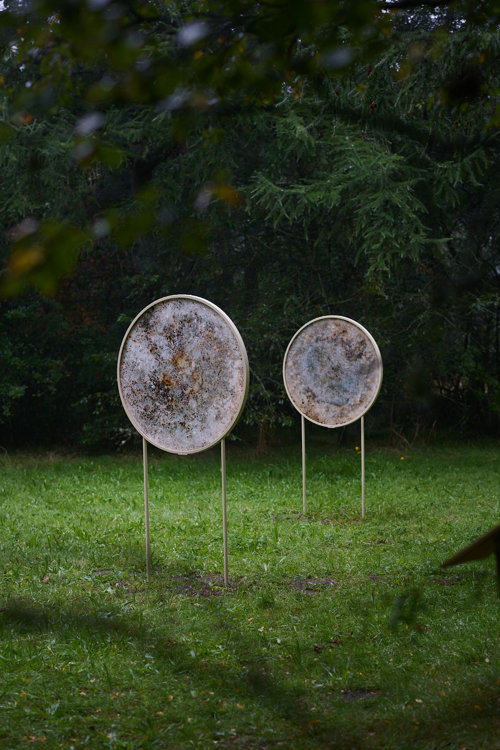 Microbial Dwellings - et midlertidigt værk på Harrild Hede af Rhoda Ting & Mikkel Bojesen