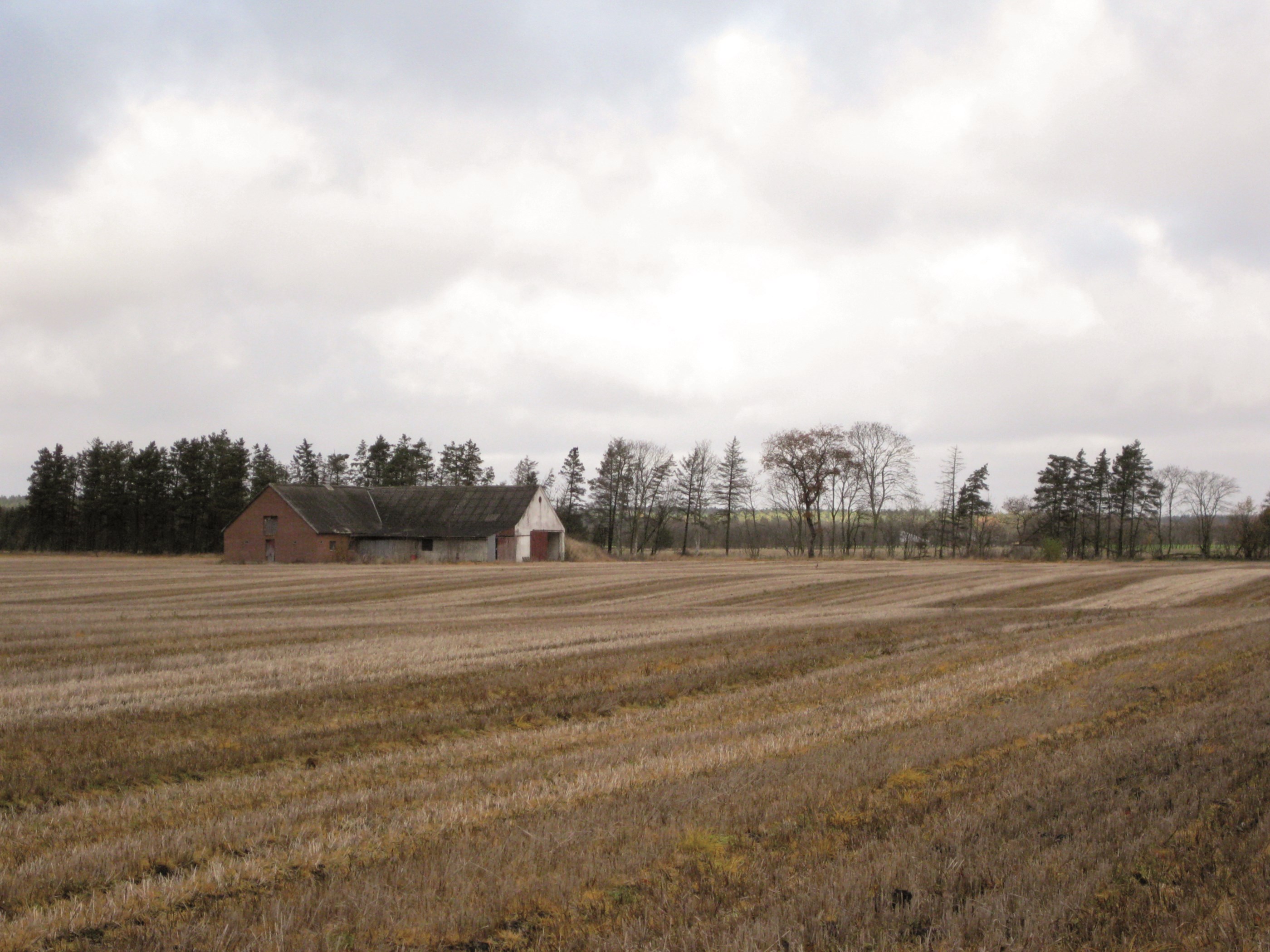 Gold og høstet mark