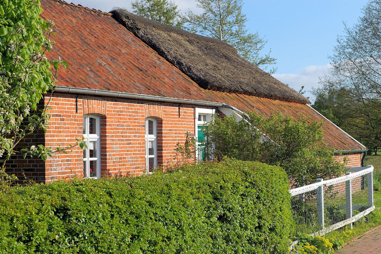 Gammelt Hus Med Hæk