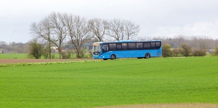 Blå bus på landevej