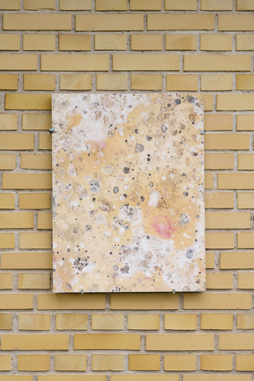 Amongst Ruins - et permanent værk i Engesvang af Rhoda Ting & Mikkel Bojesen