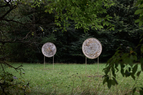 Microbial Dwellings - et midlertidigt værk på Harrild Hede af Rhoda Ting & Mikkel Bojesen