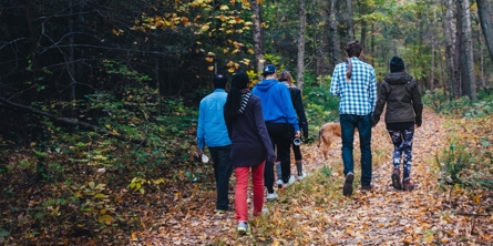 Mennesker går tur i skoven