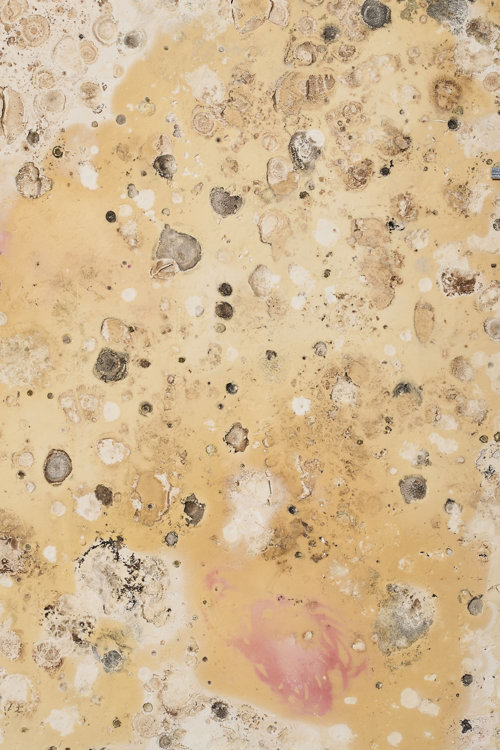 Amongst Ruins - et permanent værk i Engesvang af Rhoda Ting & Mikkel Bojesen