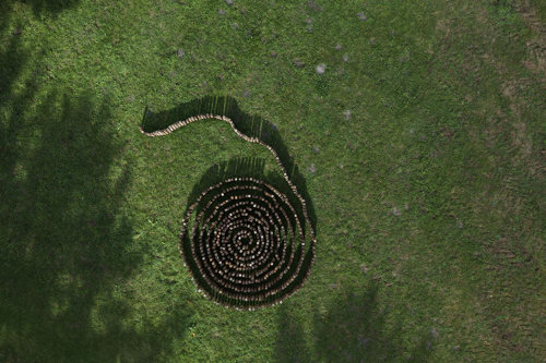 Hvirvelvinden - et midlertidigt værk på Harrild Hede af Jens Chr Jensen