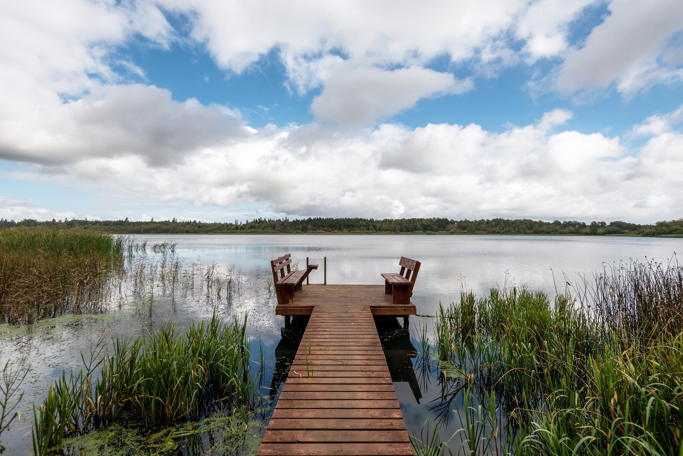Ejstrup Sø med en badebro og to bænke