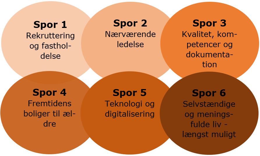 Billedet viser de 6 spor i udviklingsplanen