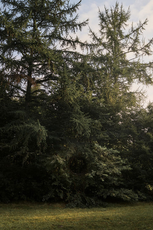 Broken Landscape - et midlertidigt værk på Harrild Hede af Antti Laitinen