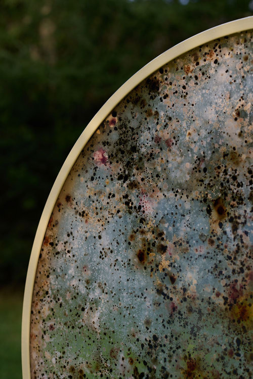 Microbial Dwellings - et midlertidigt værk på Harrild Hede af Rhoda Ting & Mikkel Bojesen