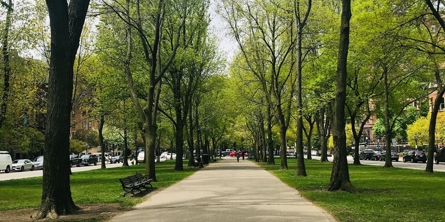 Park med grussti og grøn plæne