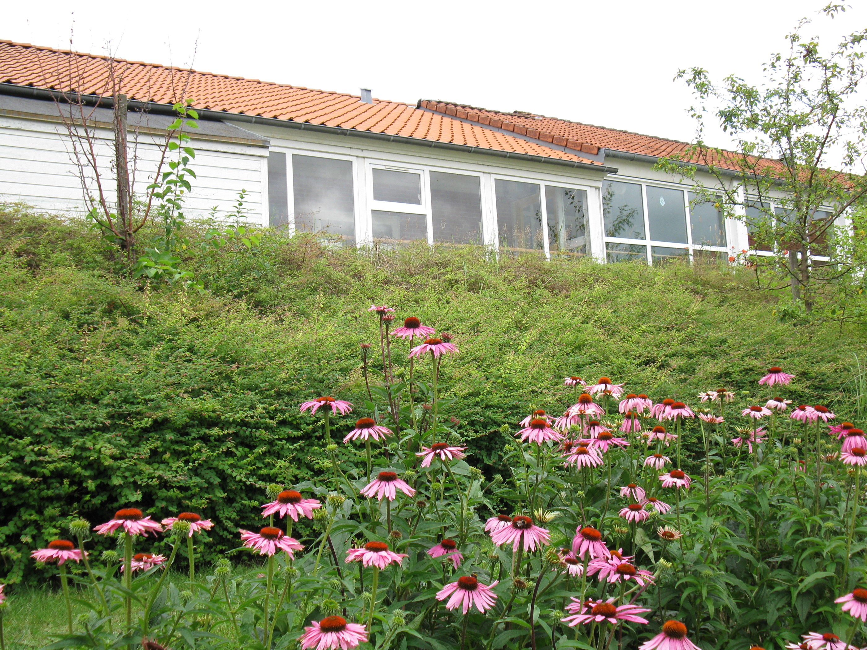 Bygning set fra haven