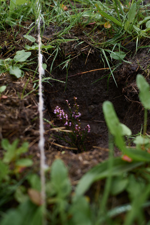PORTAL (Harrild Hede) - et midlertidigt værk på Harrild Hede af Ellen Martine Heuser